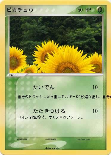 Pokemon ピカチュウ