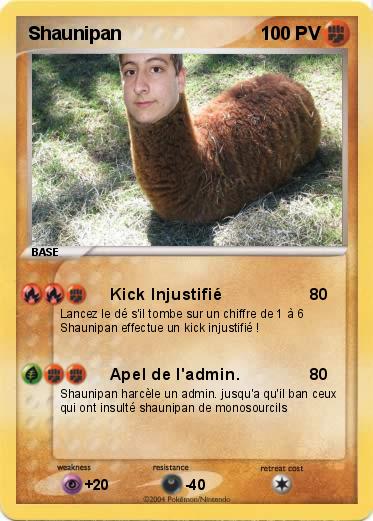 Pokemon Shaunipan