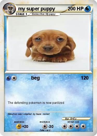 Pokemon my super puppy