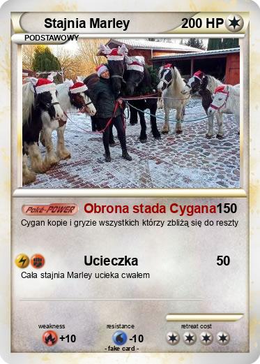 Pokemon Stajnia Marley