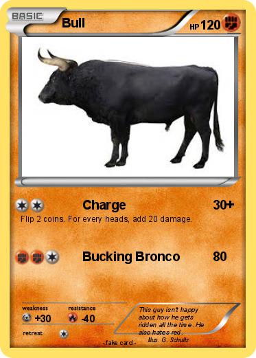 Pokemon Bull