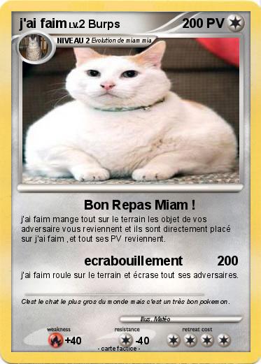 Pokemon j'ai faim
