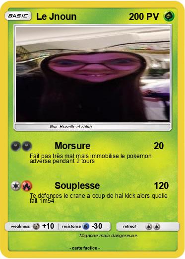 Pokemon Le Jnoun