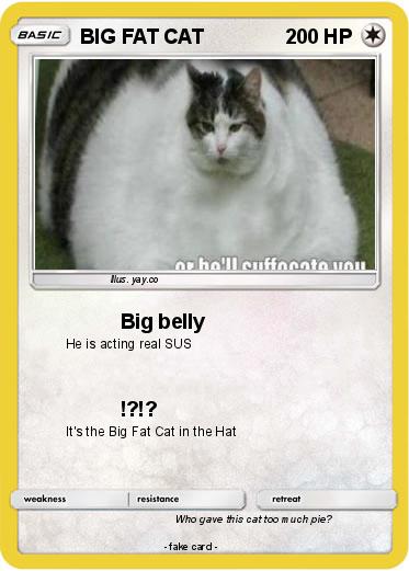 Pokemon BIG FAT CAT