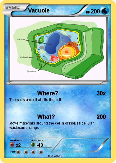 Pokemon Vacuole