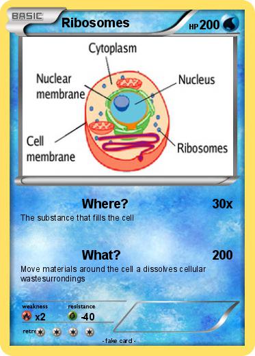 Pokemon Ribosomes