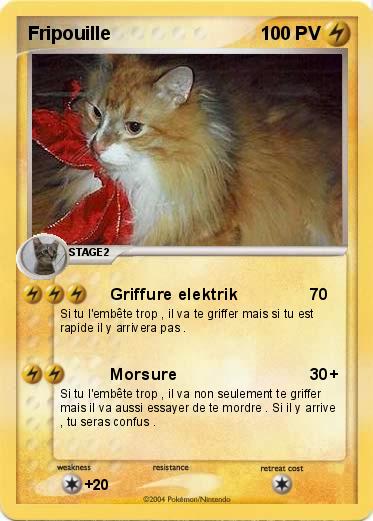 Pokemon Fripouille