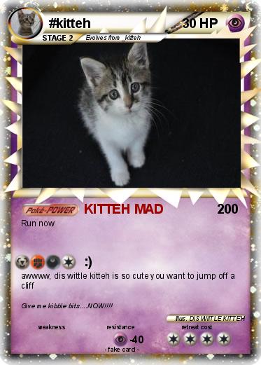Pokemon #kitteh