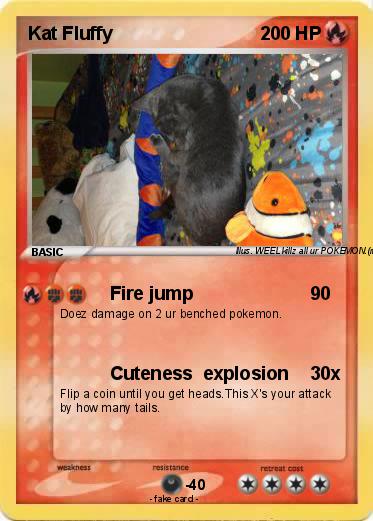 Pokemon Kat Fluffy