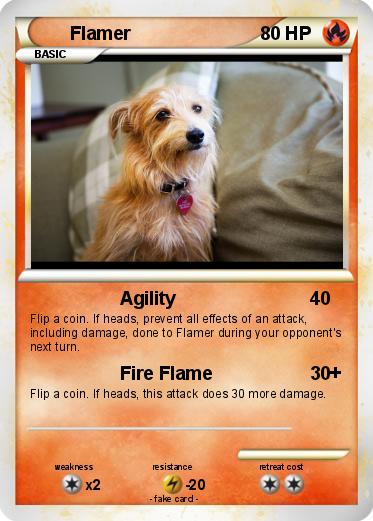 Pokemon Flamer