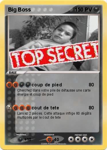 Pokemon Big Boss
