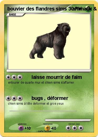 Pokemon bouvier des flandres sims 3 animaux & cie