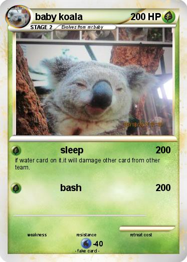 Pokemon baby koala