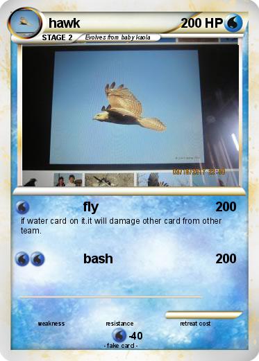 Pokemon hawk
