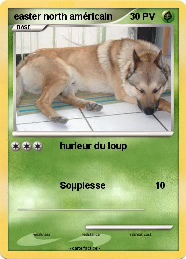 Pokemon easter north américain