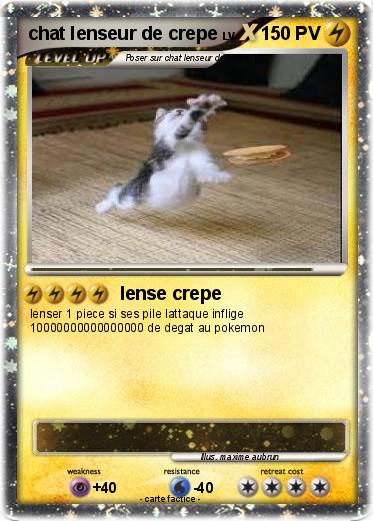 Pokemon chat lenseur de crepe