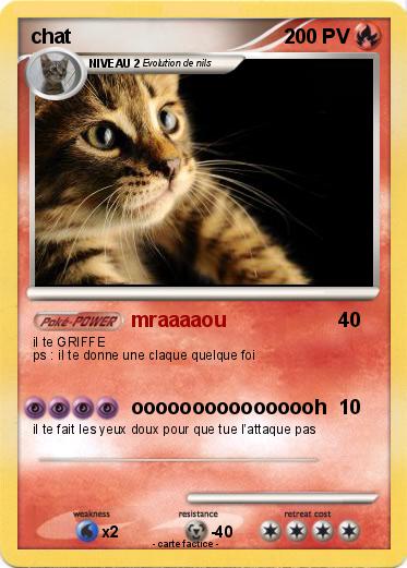 Pokemon chat