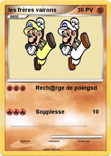 Pokemon les frères vairons
