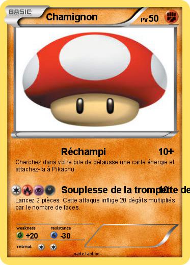 Pokemon Chamignon