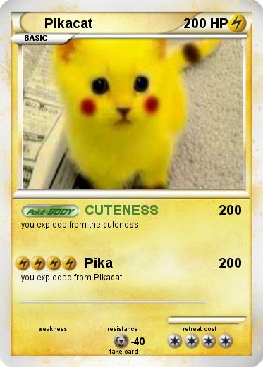 Pokemon Pikacat
