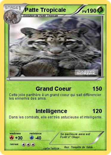 Pokemon Patte Tropicale