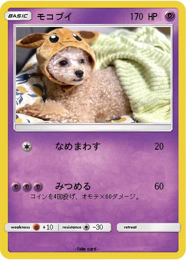 Pokemon モコブイ