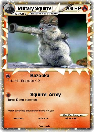 Pokemon Military Squirrel