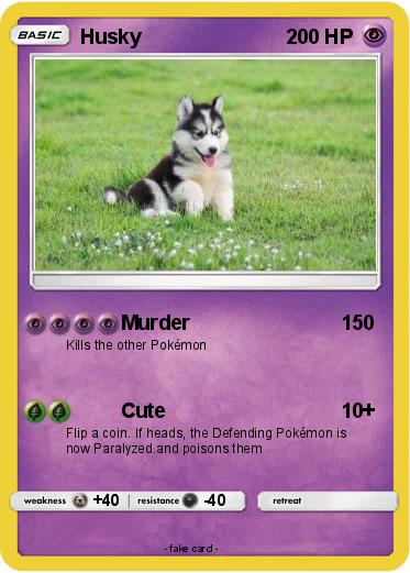 Pokemon Husky
