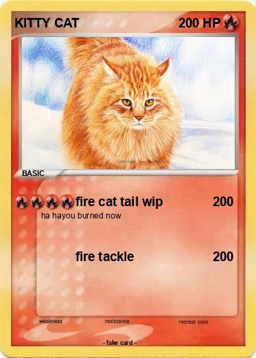 Pokemon KITTY CAT