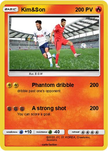 Pokemon Kim&Son