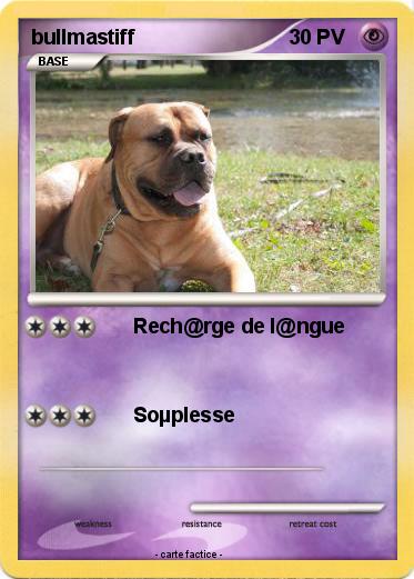 Pokemon bullmastiff