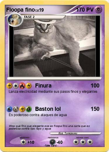 Pokemon Floopa fino