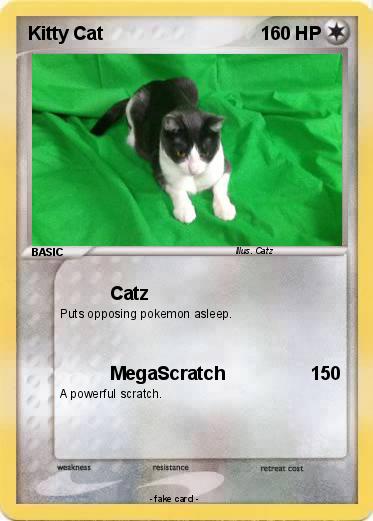 Pokemon Kitty Cat