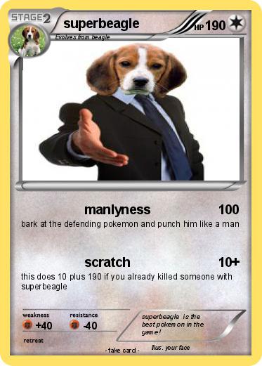 Pokemon superbeagle