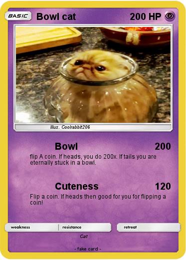 Pokemon Bowl cat