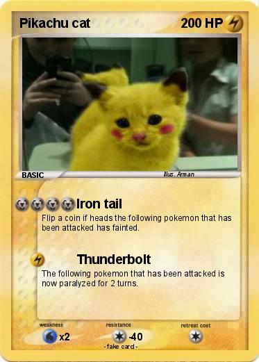 Pokemon Pikachu cat