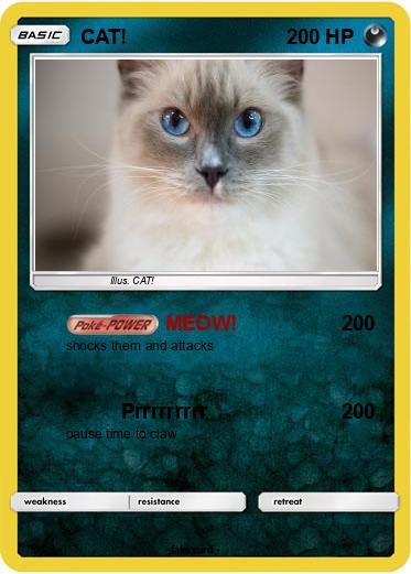 Pokemon CAT!