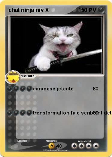 Pokemon chat ninja niv X 