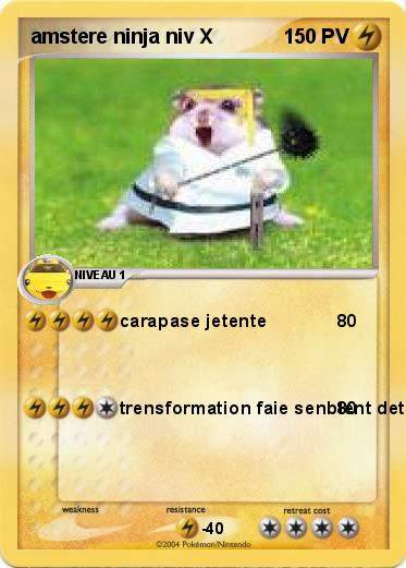 Pokemon amstere ninja niv X 