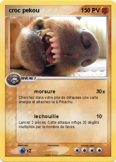 Pokemon croc pekou