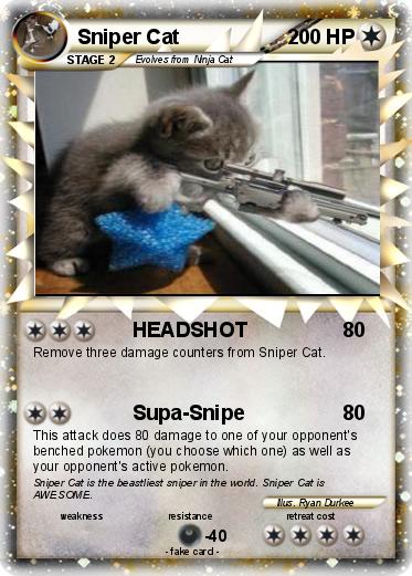 Pokemon Sniper Cat