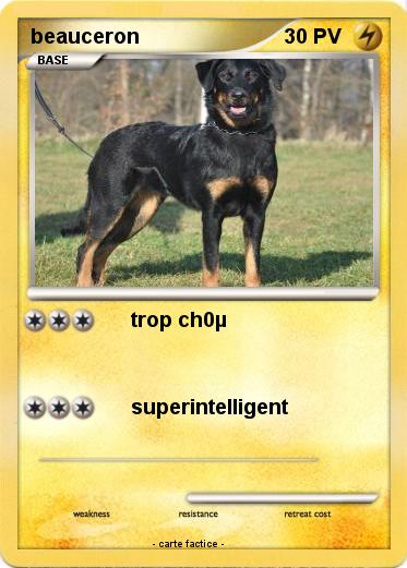 Pokemon beauceron