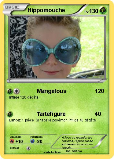 Pokemon Hippomouche