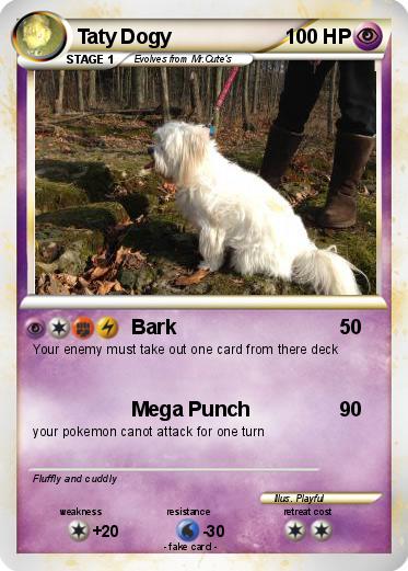 Pokemon Taty Dogy
