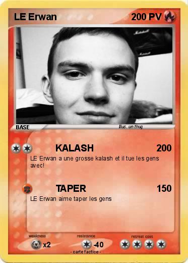Pokemon LE Erwan
