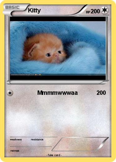 Pokemon Kitty