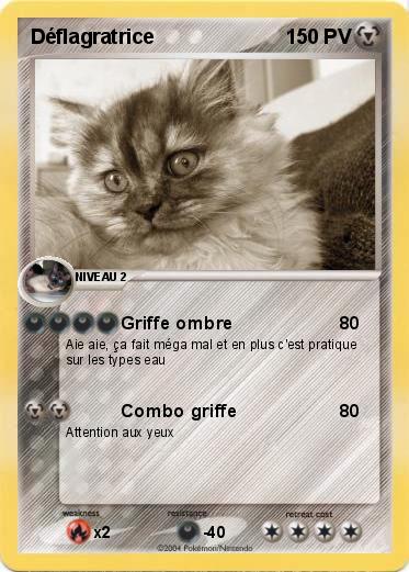 Pokemon Déflagratrice