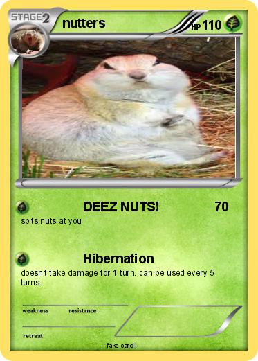 Pokemon nutters