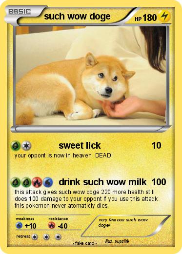Pokemon such wow doge