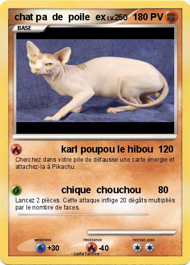 Pokemon chat pa  de  poile  ex